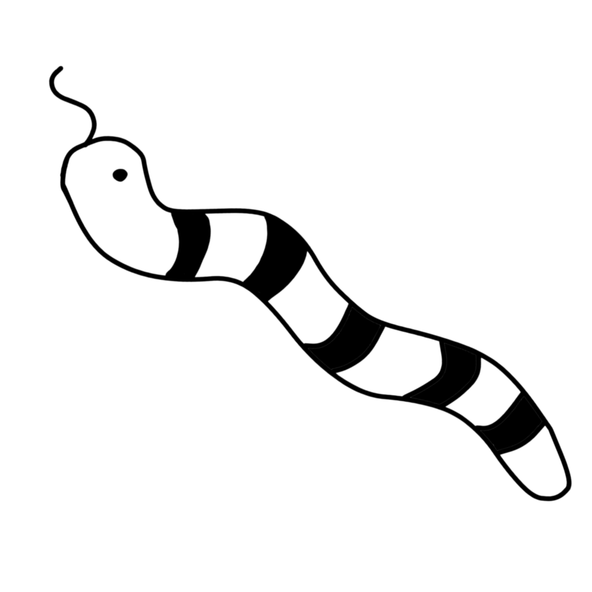 flyahn06
