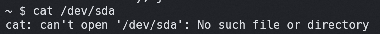nsjail_cat_dev_sda.png
